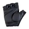 3101-353-000-Baia-palm-500x500